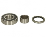 ball bearing 6306